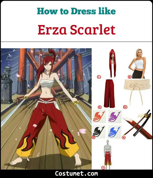 Erza Scarlet Costume for Cosplay & Halloween
