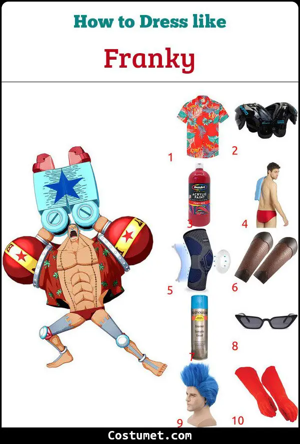 Franky Costume for Cosplay & Halloween