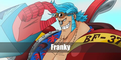 Franky's DIY attire features a printed Hawaiian shirt, red football shoulder pads, paint, swimming briefs, knee compression brace, blue-painted arm guards, sunglasses, a blue wig, and red gloves.