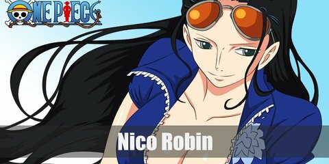 Nico Robin costume is composed of a blue cropped top and orange wrap skirt. She got pink shoes and orange sunglasses, too!