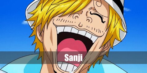  Sanji’s costume is a blue striped dress shirt, a black tie, a black two-piece suit, and a pair of black Oxford shoes.
