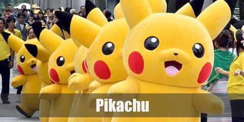 Pikachu (Pokemon) Costume