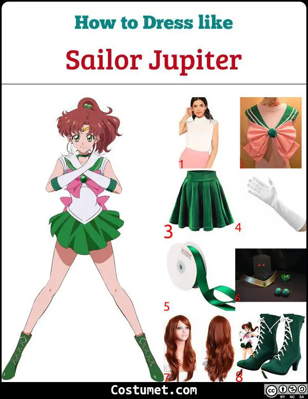 Sailor Jupiter Costume for Cosplay & Halloween