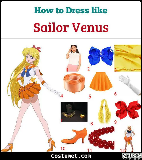 Sailor Venus Costume for Cosplay & Halloween