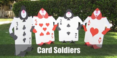 Card Soldiers wear a card vest, a red hoodie, pants, gloves, and shoes.