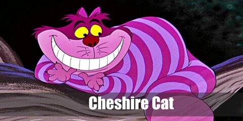 Cheshire Cat Costume