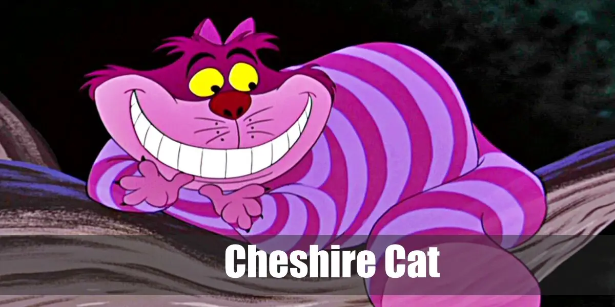 Cheshire Cat Costume for Cosplay & Halloween