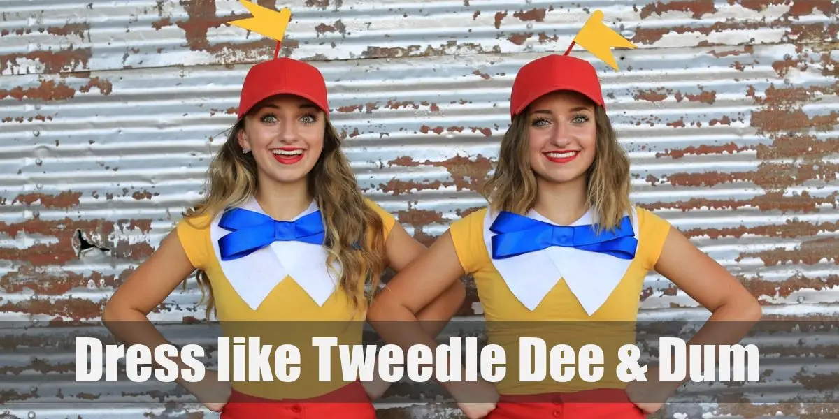 The Tweedle Dee and Tweedle Dum from Alice in Wonderland Costume for — free download