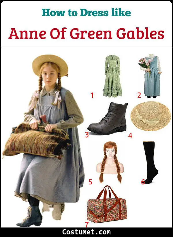 Anne Of Green Gables Costume for Cosplay & Halloween