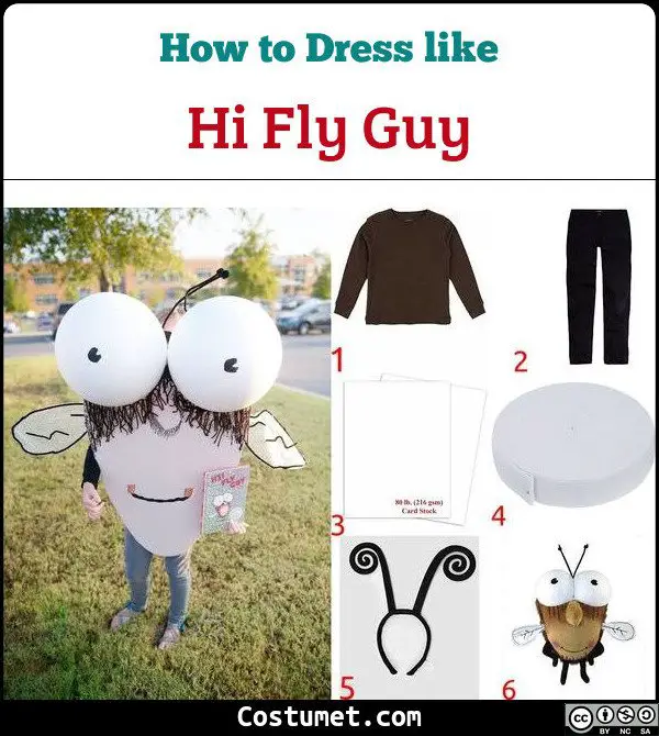 Hi Fly Guy Costume for Cosplay & Halloween