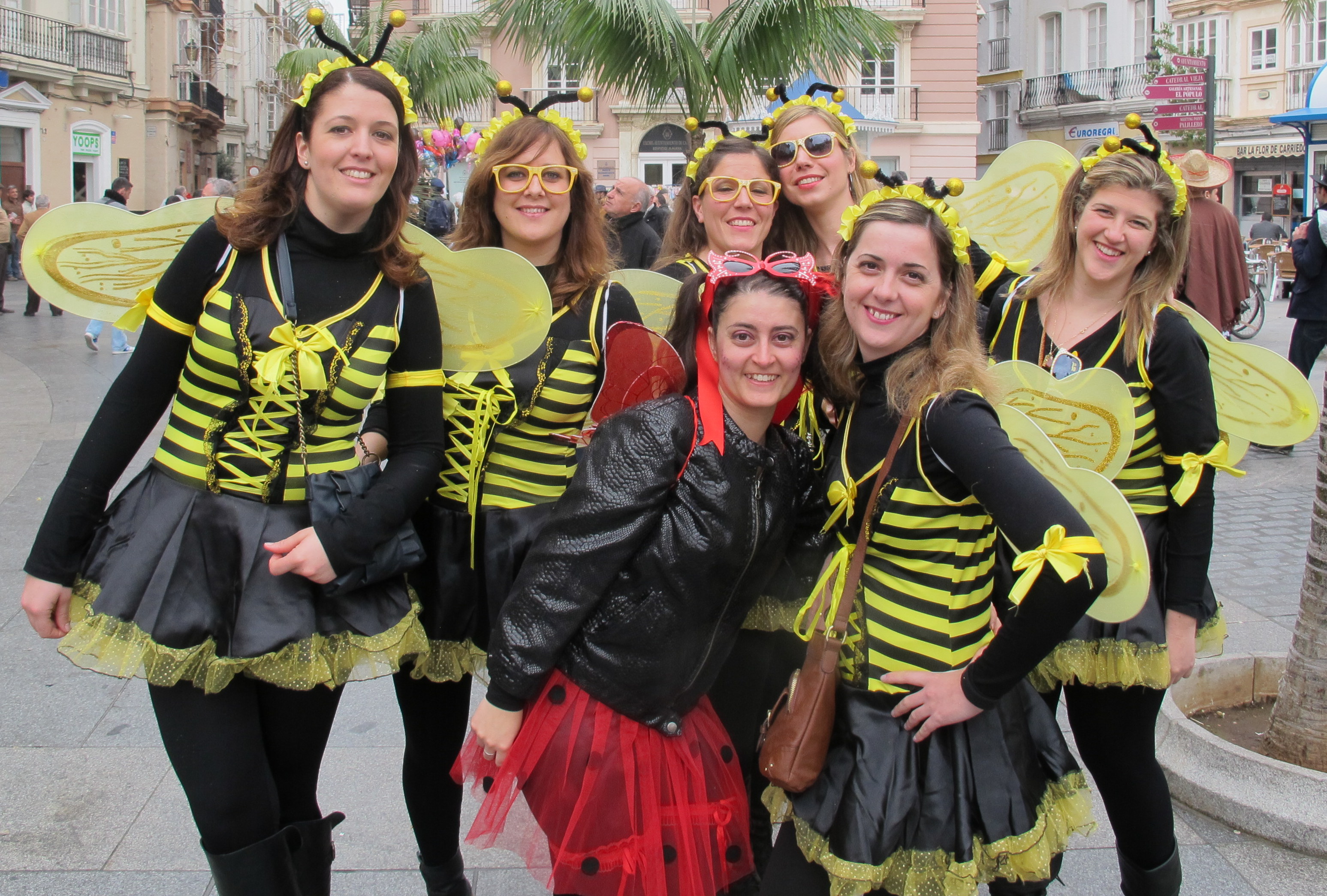 cadiz carnival bumblebee