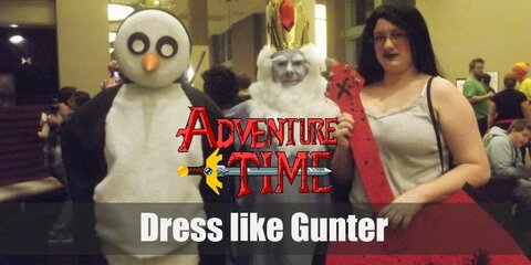 Gunter's signature appearance looks quite simple for it merely is a regular penguin. It has a black back and flippers with white belly, yellow beak and feet, and big black eyes.