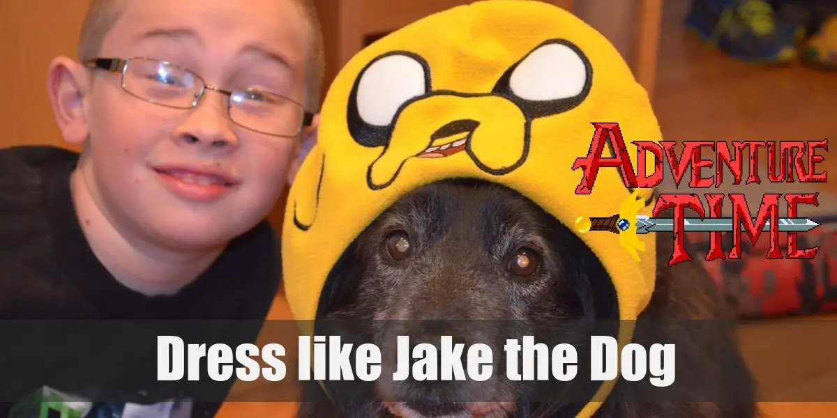 Jake the Dog from Adventure Time Costume for Cosplay & Halloween