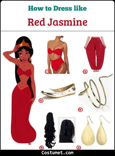 The Red Princess Jasmine (Aladdin) Costume for Cosplay & Halloween 2023
