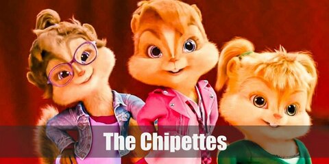 Chipettes (Alvin and the Chipmunks) Costume