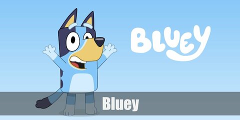 Bluey's costume can be recreated by wearing a blue onesie or a Bluey-inspired jacket and blue pants, too! 