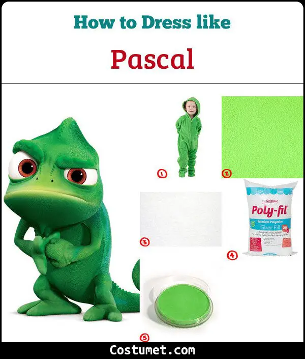 Pascal Costume for Cosplay & Halloween