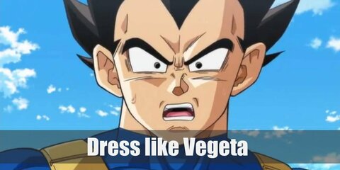  Vegeta costume is an outfit whose colors are mostly blue, white, and yellow. 