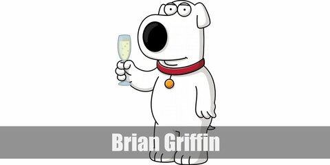  Brian Griffin’s costume is a white sweatshirt, white joggers, a white beanie, white gloves, and white dog ears.