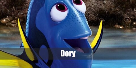 Dory's DIY costume can be done by wearing a fat suit under an oversized blanket hoodie. It can come in yellow, purple, orange, blue, and pink.