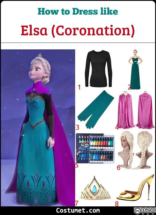 Elsa Coronation Day Costume for Cosplay & Halloween