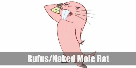 Rufus/ Naked Mole Rat’s costume is a series of flesh-toned clothes, from a pink sweater, pink joggers, and a pink beanie. Then, you can use grey boots and gloves for the long nail details.