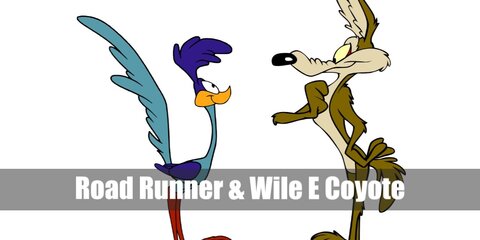 Road Runner & Wile E Coyote Costume (Looney Tunes)