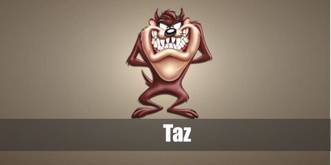 Taz / Tasmanian Devil Costume from Looney Tunes