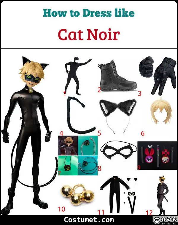 Cat Noir Costume for Cosplay & Halloween