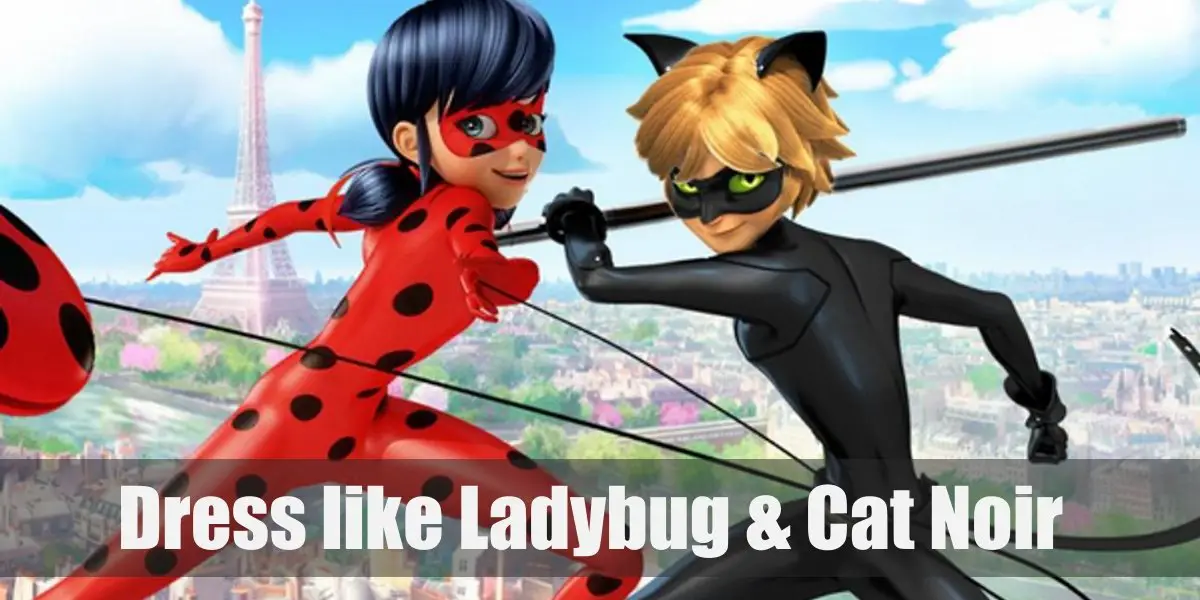 Featured image of post Ladybug And Chat Noir Cosplay Marinette and adrien as well as ladybug and cat