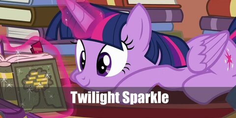Twilight Sparkle’s costume can be recreated with your little girl. Simply get a purple tutu dress, a pair of Twilight Sparkle sunglasses, and purple shoes.