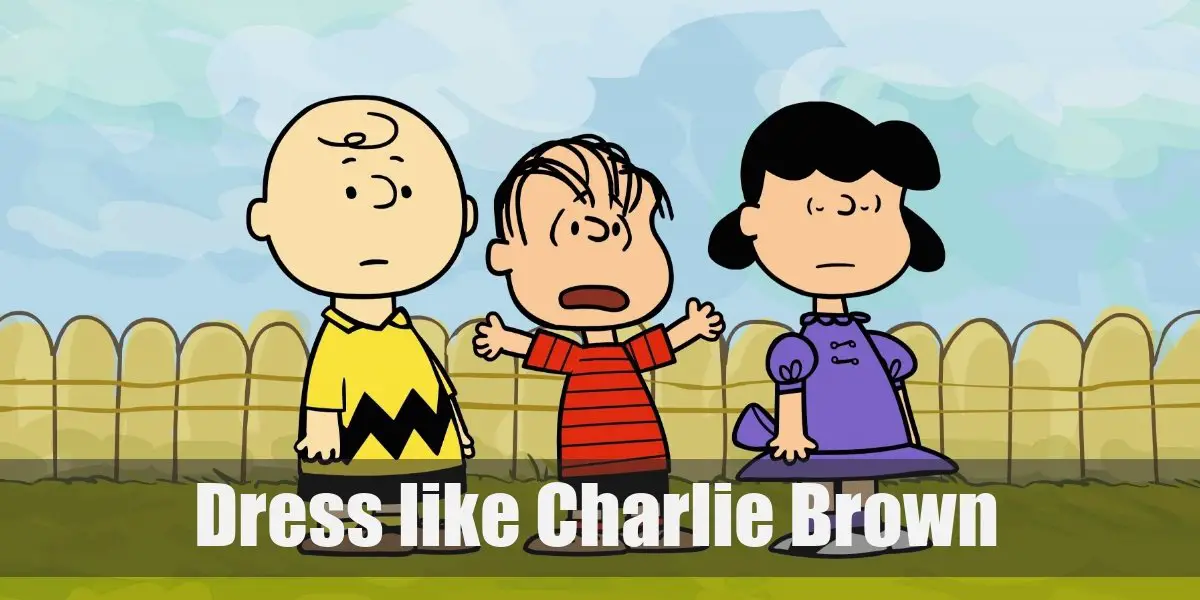 Charlie Brown (Peanuts) Costume for Halloween Charlie Brown (Peanuts) Costume for Halloween