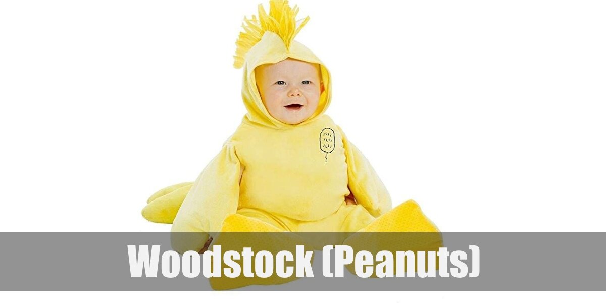 bio dude crested gecko kit