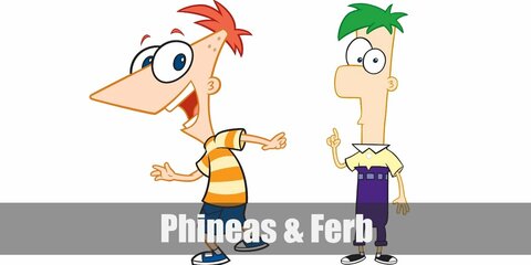 Phineas Flynn’ costume is an orange-striped shirt, blue shorts, and blue sneakers. Ferb Fletcher’s costume is a yellow collared shirt, purple pants, and black sneakers.  Phineas and Ferb are brothers and best friends.