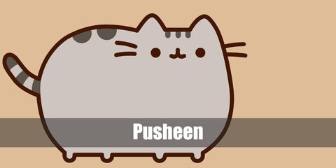  Pusheen’s costume is a light grey long-sleeved shirt, light grey leggings, Pusheen slippers, a Pusheen beanie, and a cat mask.
