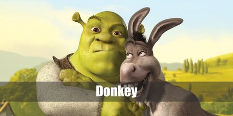  Donkey’s costume is  a donkey-inspired shirt, straight-fit gray jeans with a gray donkey tail attached at the back, dark brown sneakers, and a donkey mask.