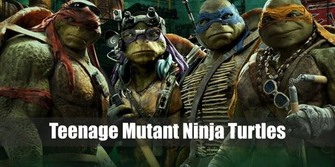 The Teenage Mutant Ninja Turtles' costume can be DIY-ed with a turtle shirt, green long sleeved-shirts, and tights. Then, get a TMNT backpack, eye masks, and pieces of clothes to wear on the limbs.