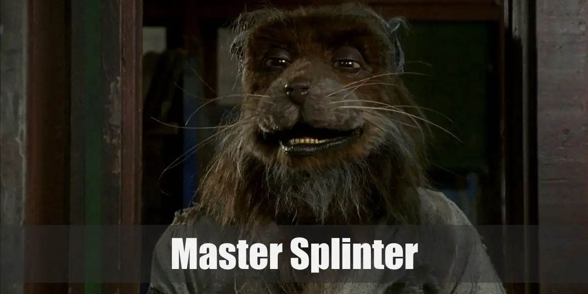Master Splinter (Teenage Mutant Ninja Turtles) Costume for Cosplay