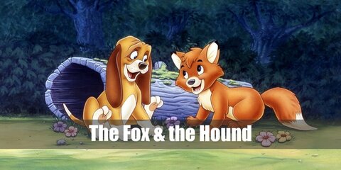  The Fox and Hound’s costume is an orange long-sleeved shirt, orange pants, and orange fox ears for the Fox, and a brown long-sleeved shirt, brown pants, and floppy brown dog ears for the Hound.