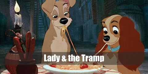  Lady and the Tramp’s costume is a brown long-sleeved shirt, brown leggings, brown boots, and dog ears for Lady, a grey sweatshirt, grey pants, grey sneakers, and dog ears for Tramp, a red and white-checkered skirt, a white top, yellow yarn, and red pom poms for the Baby Spaghetti.