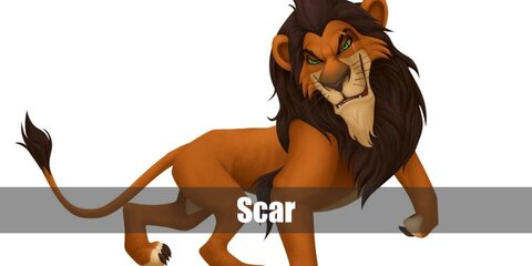 Scar's Costume from The Lion King