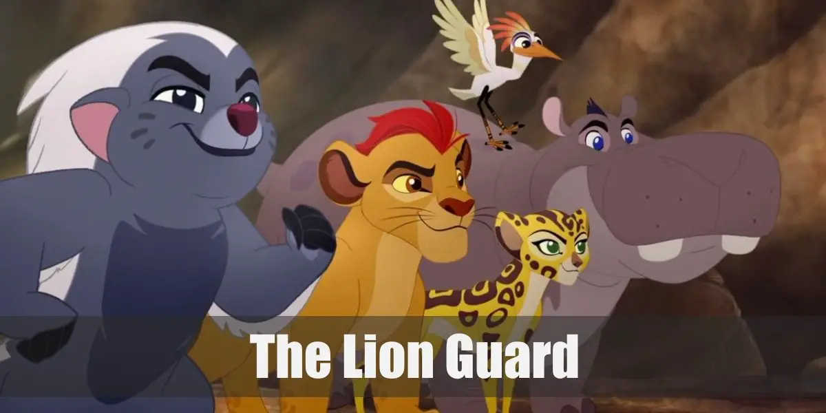 Fuli, Kion, Ono, Beshte (The Lion Guard) Costume for Cosplay & Halloween
