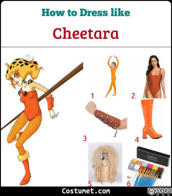 Cheetara Costume for Cosplay & Halloween