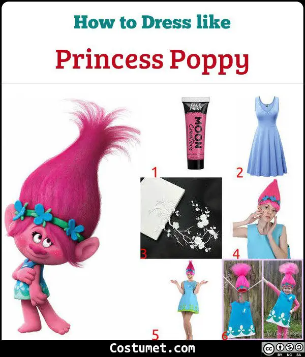 Princess Poppy Costume for Cosplay & Halloween