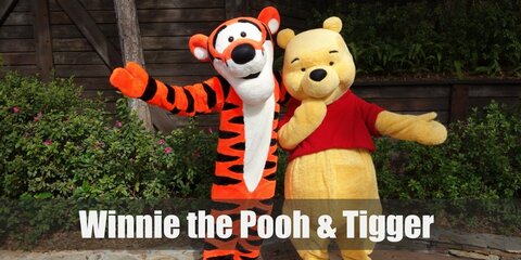  Winnie the Pooh is a lovable yellow teddy bear who wears a red shirt while Tigger is a hyperactive orange tiger with black stripes. There are many ways to dress up as both of them like using full suits or something more creative like tutus and headbands.  