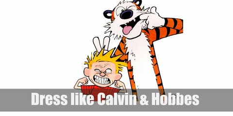  Calvin’s costume is fairly simple. He likes to wear a red and black-striped shirt, black pants, and a pair of awesome red sneakers. Hobbes looks like a tiger.  