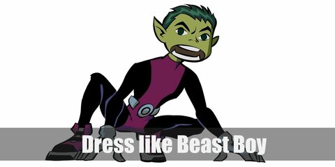 Beast Boy costume is a mix of black and purple tops and bottoms with a silver belt in the middle. 