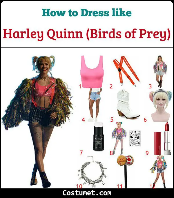 Harley Quinn (Birds of Prey) Costume for Cosplay & Halloween