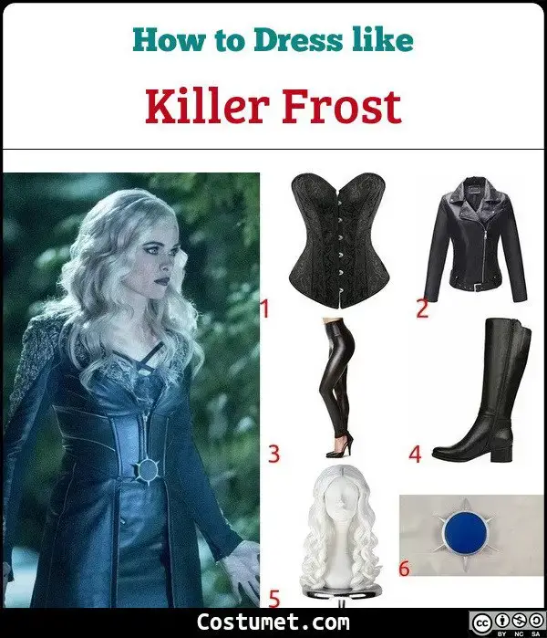 Omhoog Octrooi Spotlijster Killer Frost Costume for Cosplay & Halloween 2023