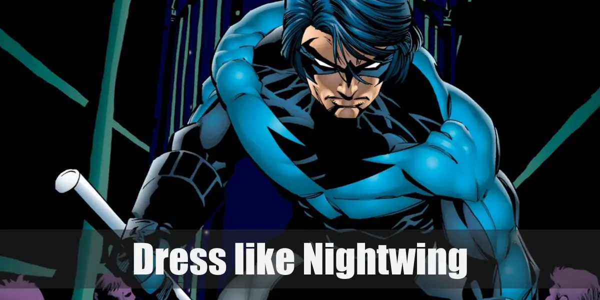 Nightwing Costume for Cosplay & Halloween